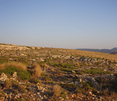 Hügel auf Menorca